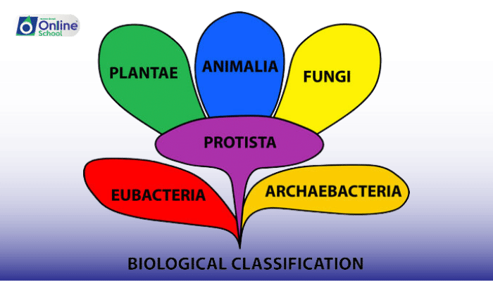 Lesson 02: Aims and Principles of Classification in Biology